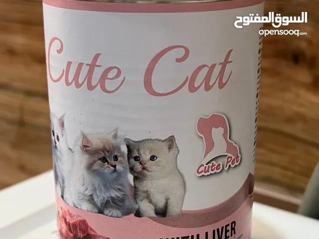 معلبات قطط صغيرة