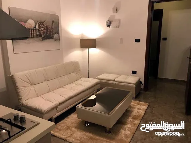 40 m2 Studio Apartments for Rent in Amman University Street