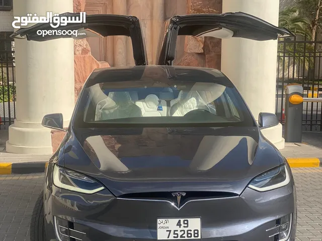 Tesla model x 100D 2019 Dual motor ((special car))