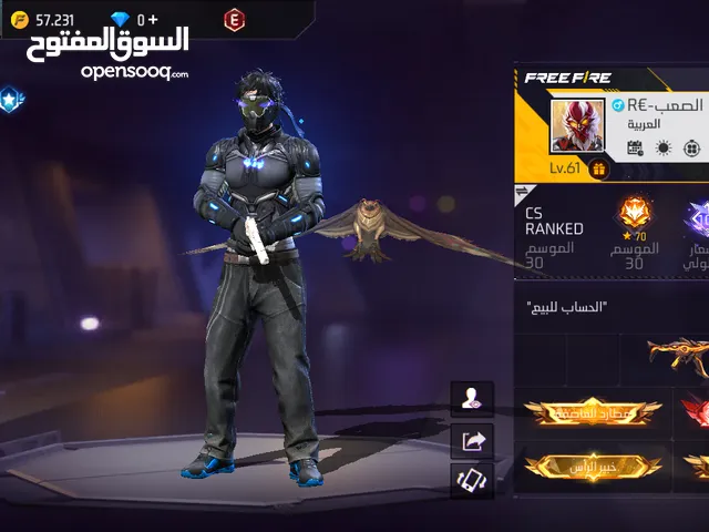 Free Fire Accounts and Characters for Sale in Zarqa