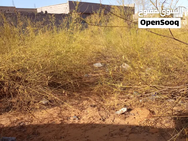 Residential Land for Sale in Tripoli Bier A-Tota