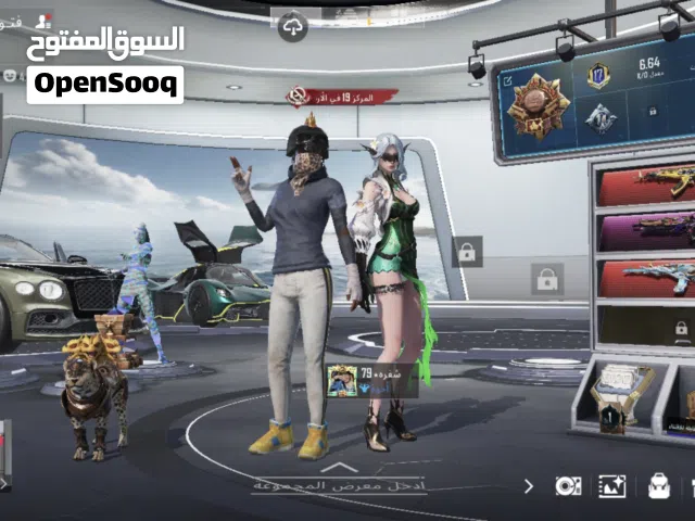 Pubg Accounts and Characters for Sale in Zarqa