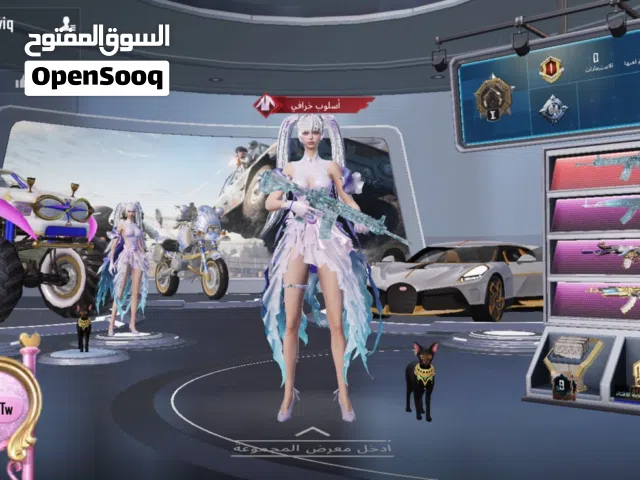 Pubg Accounts and Characters for Sale in Al Riyadh