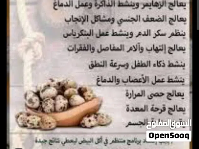 بيض سمان للبيع