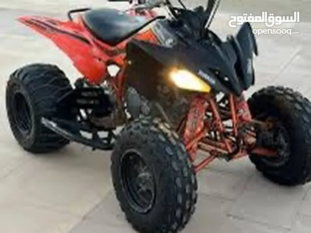 مطلوب رابتر 250 السعر 199