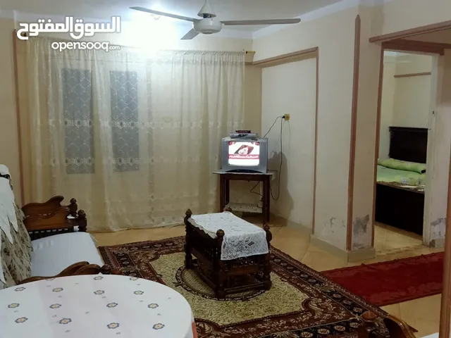 شقه مفروش للايجار في محافظة السويس لشركه وطلبه ومهندسين وموظفين