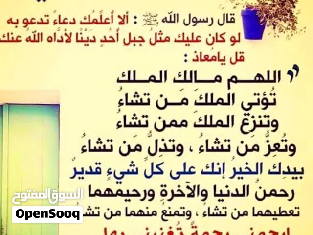 مطلوب مطعم للايجار