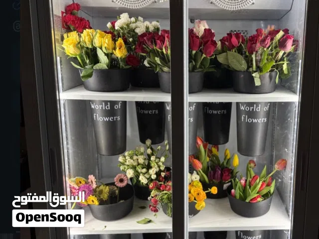 براد ورد سلايك اخو الحديد استخدم شهر فقط