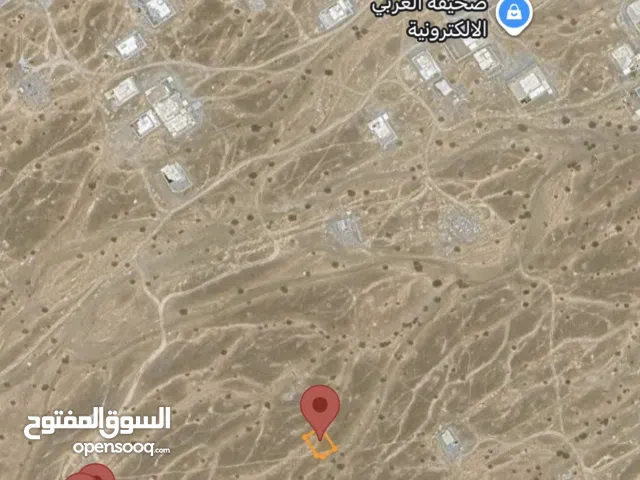 خضراوين شبك (وتوحد قطعه منفرده مخطط 211)