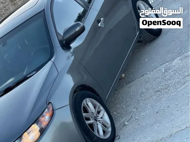 كايا فورتي فل نخب