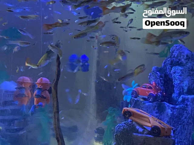 حوض متر للبيع