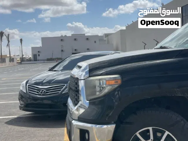 كلب تبيني نبي كلب تبني