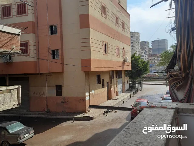 شارع الفهد متفرع من محور المحموديه الجديد بجوار شركه منصور و كومباوند  القضاه