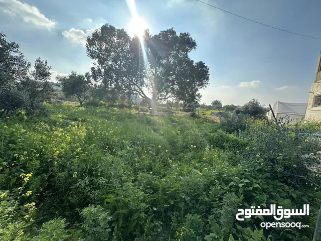 ارض نص دونم للبيع , في فرعون جبل المهر قريب على الشارع الرئيسي ، شارع مزفت ، منطقة سكنية هادية
