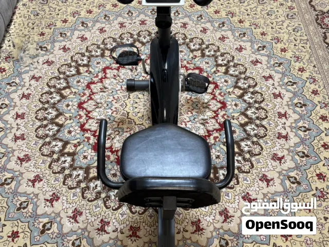 Recumbent Exercise Bike