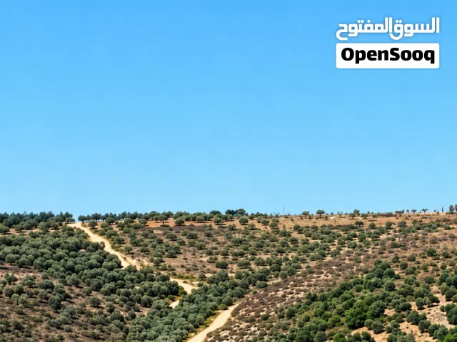 Residential Land for Sale in Nablus Yasid