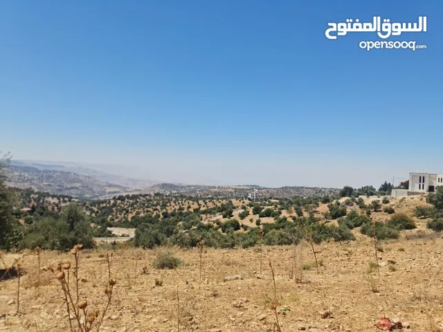 Residential Land for Sale in Amman Badr Jdedeh