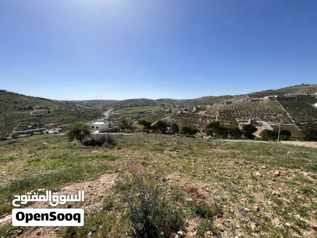 قطعة ارض للبيع في بيرين ام رمانة مزرعة سكني زراعي على قمة جبل اطلالة مفتوحة دائمة