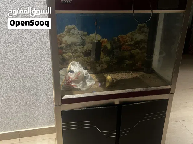 حوض بيولوجي حديث