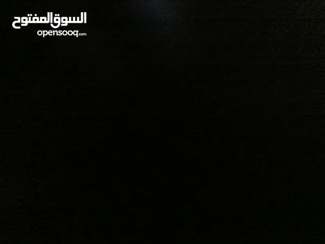 موجود كلبة هاسكي انثى للبيع