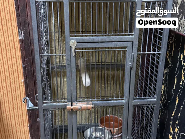للبيع قفص طيور كبير ونظيف للكاسكو او للطيور بأنواعها حط سعرك وتوكل على الله