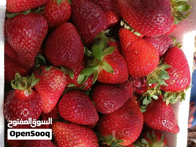 خضروات وفوكه