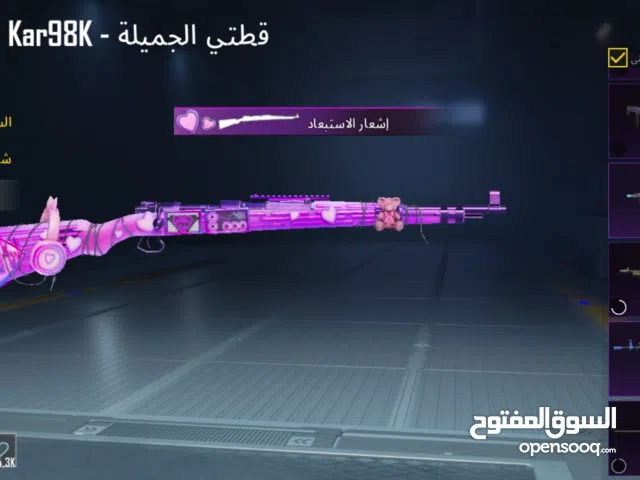 Pubg Accounts and Characters for Sale in Aden