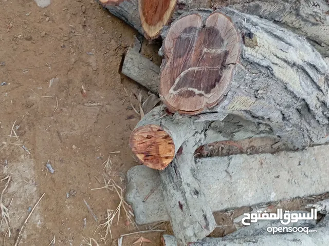 للبيع حطب سمر موقع صحم
