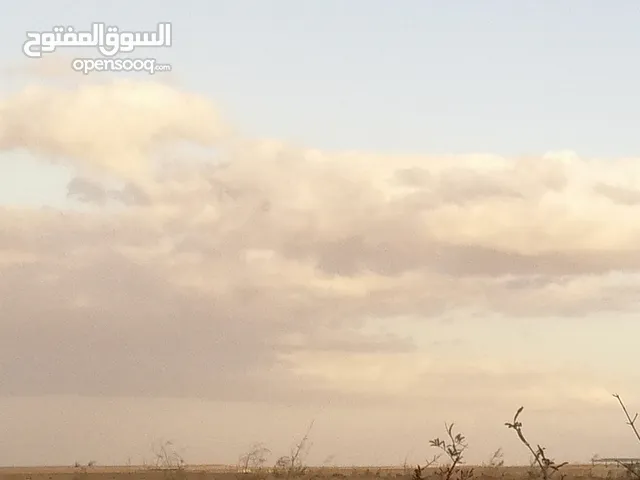 ارض مستصلحة ببئرمياه للزراعة بسعرمغري للجادين فقط وتصلح للاستثمارفي المجالات المرتبطةبالنشاط الزراعي