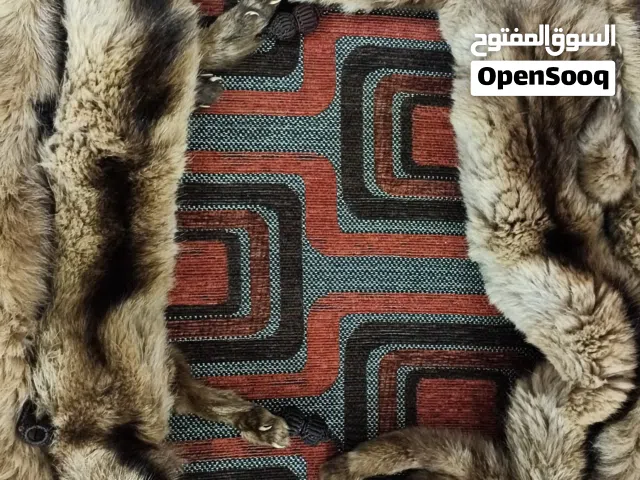 جلد سمور طبيعي