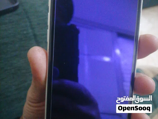 Apple iPhone 11 128 GB in Irbid