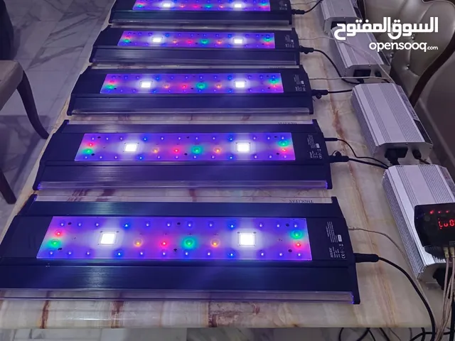 انارة ZetLight ماڤن 1 للبيع