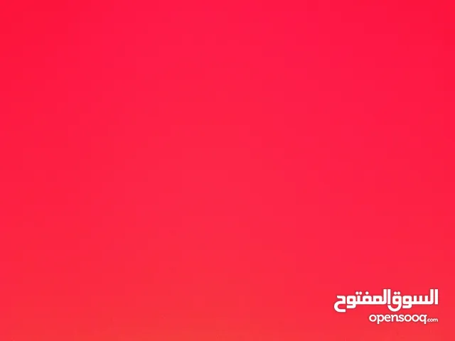 مؤمن