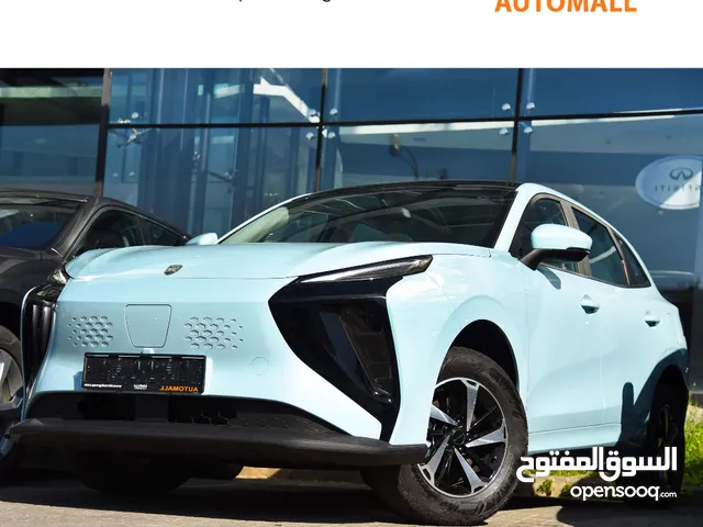 New Dongfeng Forthing in Amman