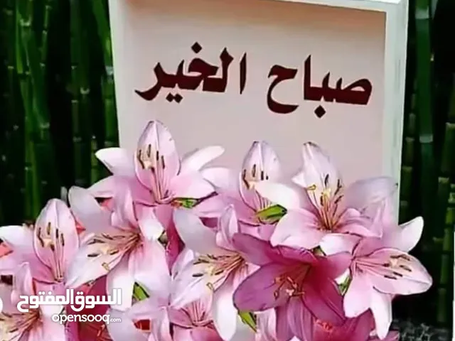 بسمه الزبن