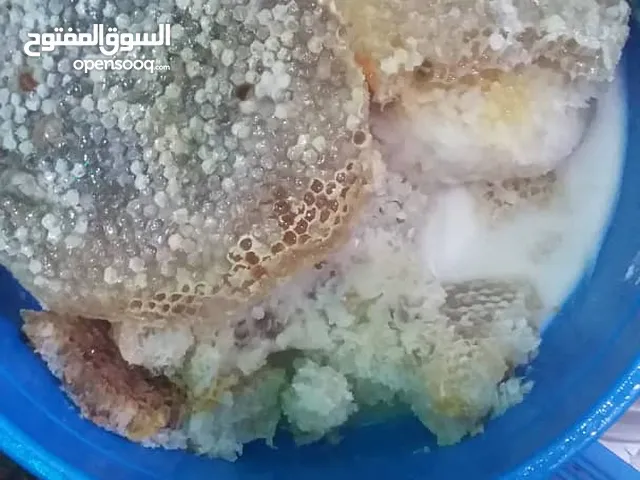 عسل بلدي شعفي صعدي من اجود انواع العسل اليمني