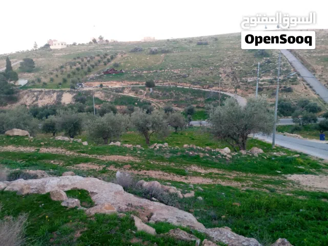 Residential Land for Sale in Zarqa Rajm Al Shawk