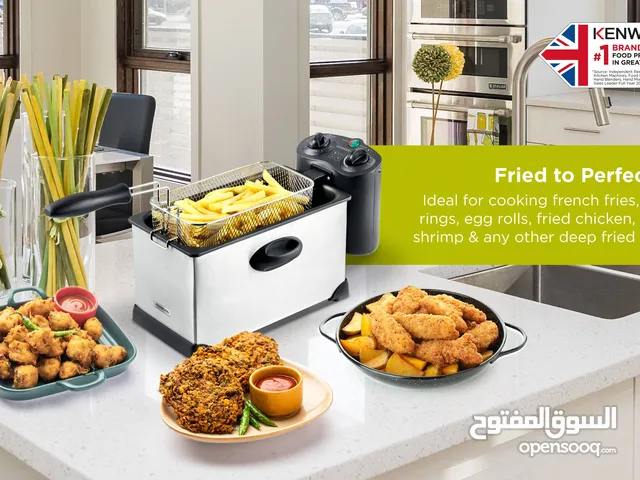 Kenwood DFM50 Deep Fryer