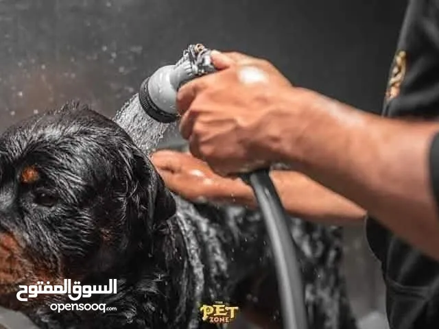 حمم كلبك ...
