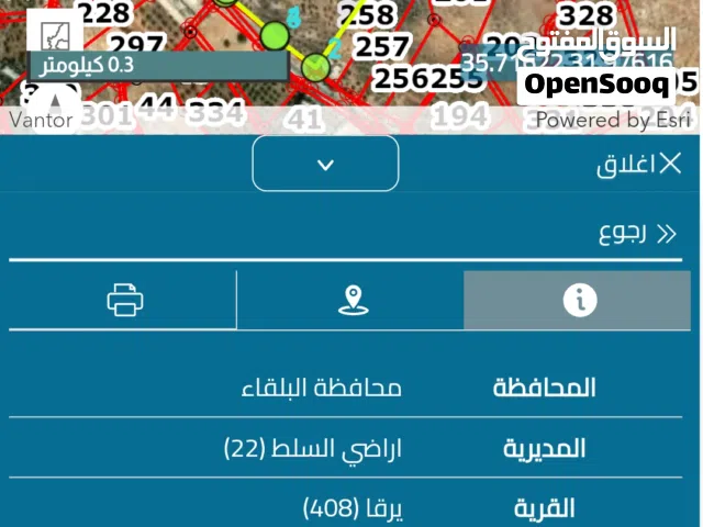 قطعة ارض اراضي السلط يرقا مساحتها 31.4 دونم