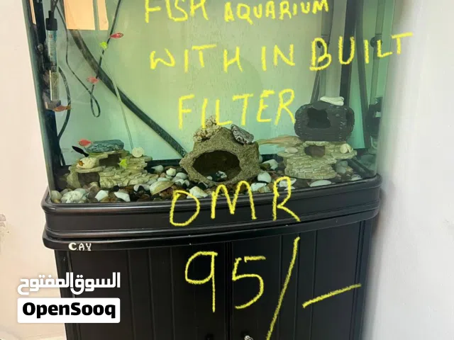 Fish Aquarium 90 Cms