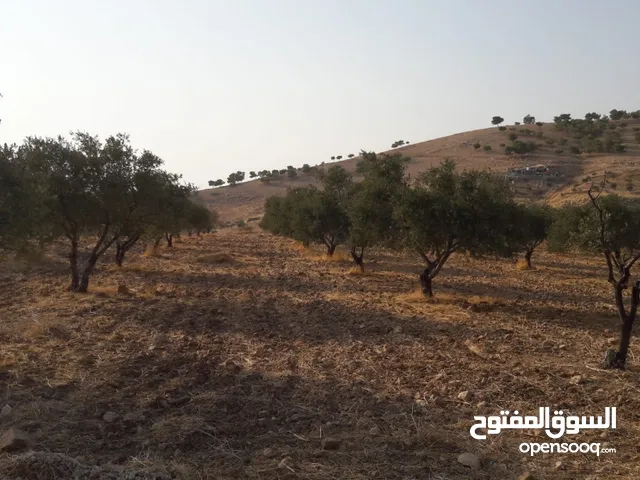 Mixed Use Land for Sale in Salt I'ra