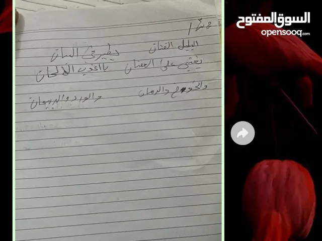 سبورتج 2022