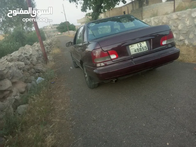 Used Hyundai Elantra in Amman