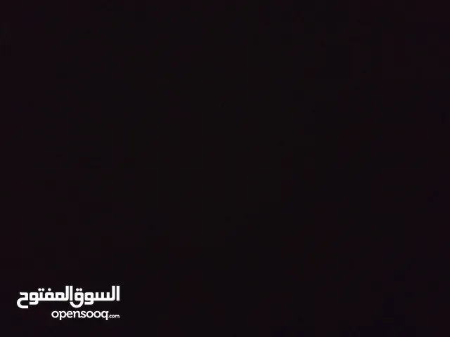 السلام عليكم مطلوب ببغاه للتبني أي نوع عادي لا تخاف علا المحافضه
