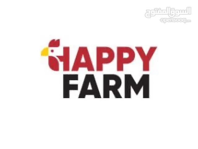 شركة Happy Farm-الريادة في تجهيز مزارع الدواجن