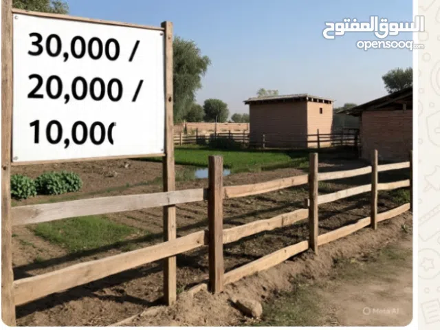 حظائر دجاج لاحم للايجار