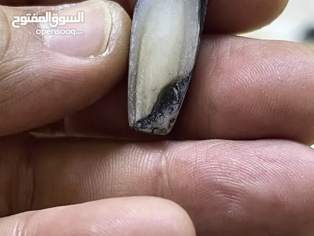 Rings for sale in Basra