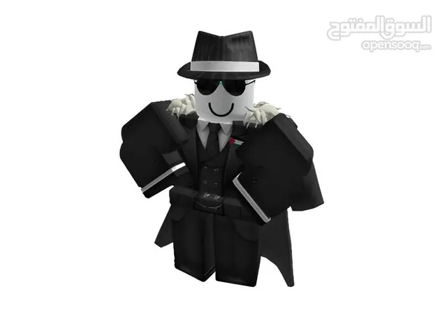 Limited Roblox Account