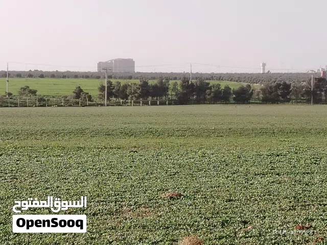Residential Land for Sale in Irbid University of Science and Technology
